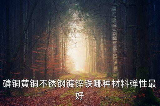 磷銅黃銅不銹鋼鍍鋅鐵哪種材料彈性最好