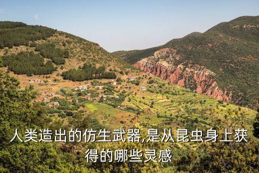 墻壁行走機器人,美國發(fā)明砌墻機器人能跟墻壁走路嗎?