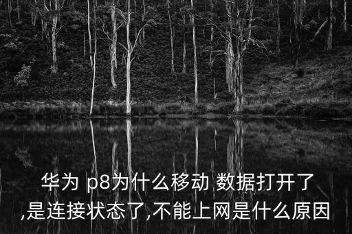  華為 p8為什么移動(dòng) 數(shù)據(jù)打開(kāi)了,是連接狀態(tài)了,不能上網(wǎng)是什么原因