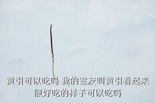 黃引，36種動物拆字謎語難逢王濟知音癖欲就燕昭買駿名早晚飛黃引