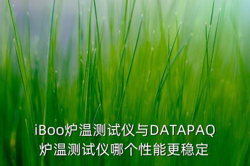 iBoo爐溫測(cè)試儀與DATAPAQ爐溫測(cè)試儀哪個(gè)性能更穩(wěn)定