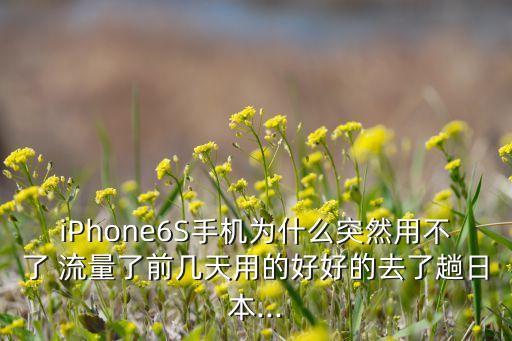 iPhone6S手機為什么突然用不了 流量了前幾天用的好好的去了趟日本...