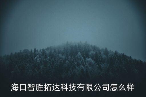 海南?？谧詣?dòng)化電氣公司,?？谟心男┕?