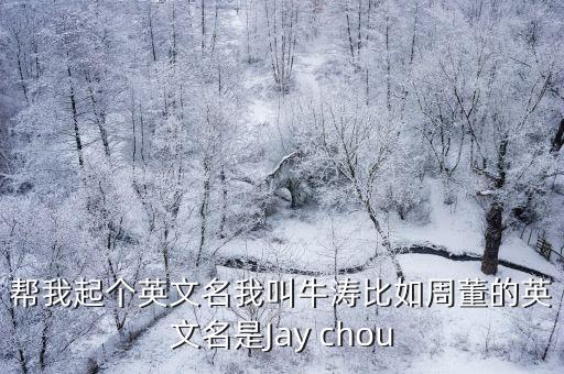 幫我起個(gè)英文名我叫牛濤比如周董的英文名是Jay chou