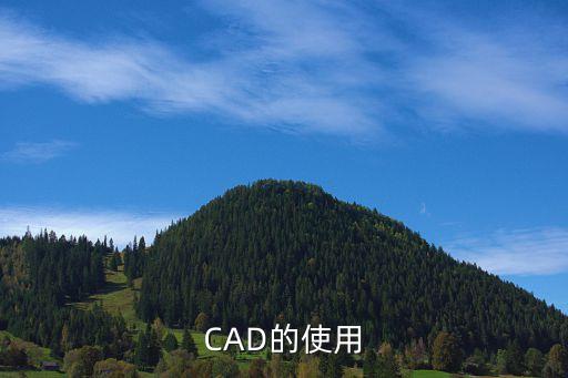 CAD的使用