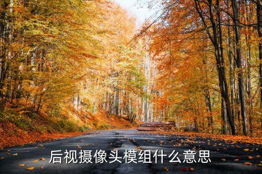 后視攝像頭模組什么意思