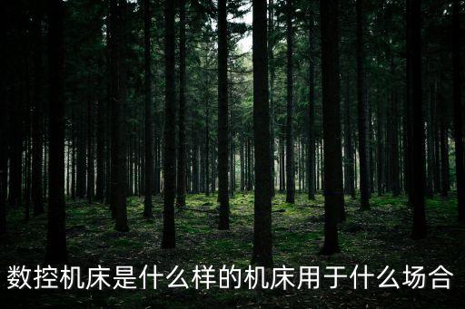 數(shù)控機(jī)床是什么樣的機(jī)床用于什么場合