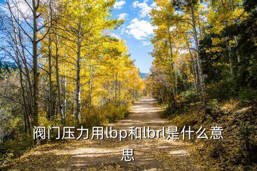 閥門壓力用lbp和lbrl是什么意思