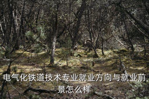 鐵路機(jī)車自動(dòng)化專業(yè)就業(yè),鐵道信號(hào)自動(dòng)控制專業(yè)就業(yè)前景很好