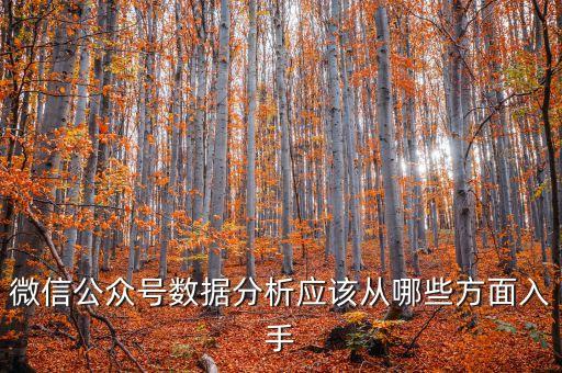 微信公眾號(hào)數(shù)據(jù)分析應(yīng)該從哪些方面入手