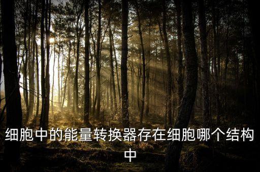 細(xì)胞中的能量轉(zhuǎn)換器存在細(xì)胞哪個(gè)結(jié)構(gòu)中