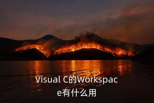 Visual C的Workspace有什么用