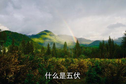 什么是五伏