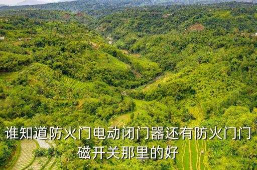 誰知道防火門電動閉門器還有防火門門磁開關(guān)那里的好