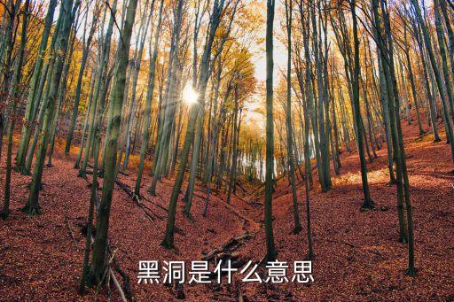 黑洞是什么意思