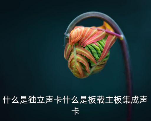什么是獨立聲卡什么是板載主板集成聲卡