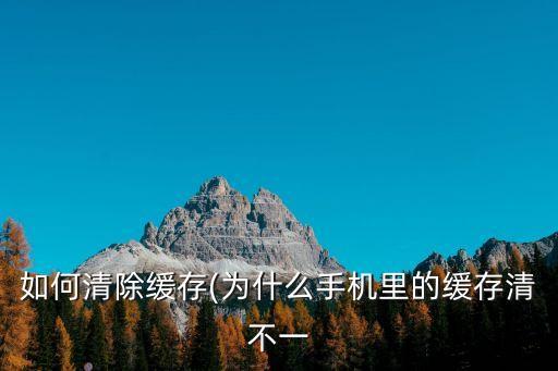 手機(jī)怎么清除數(shù)據(jù)緩存,手機(jī)怎么清除手機(jī)緩存?一文看懂