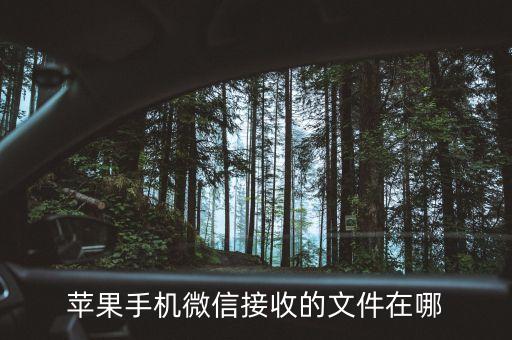 蘋果手機微信接收的文件在哪