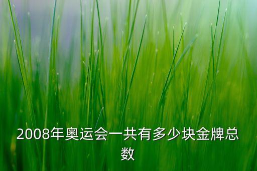 2008年奧運(yùn)會(huì)一共有多少塊金牌總數(shù)