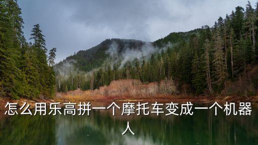 怎么用樂高拼一個摩托車變成一個機器人
