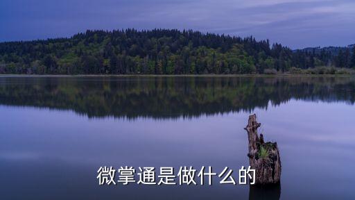 智造將來(lái)，微掌通是做什么的