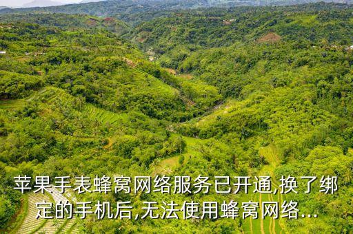 蘋果手表蜂窩網(wǎng)絡(luò)服務(wù)已開通,換了綁定的手機后,無法使用蜂窩網(wǎng)絡(luò)...
