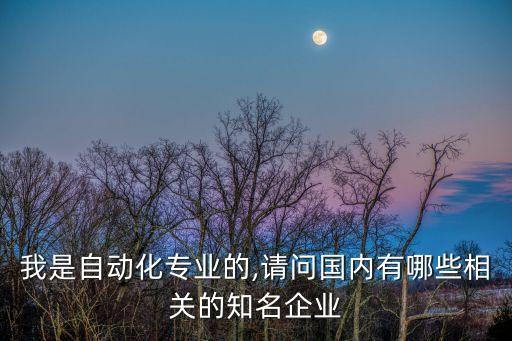 我是自動(dòng)化專業(yè)的,請(qǐng)問國(guó)內(nèi)有哪些相關(guān)的知名企業(yè)