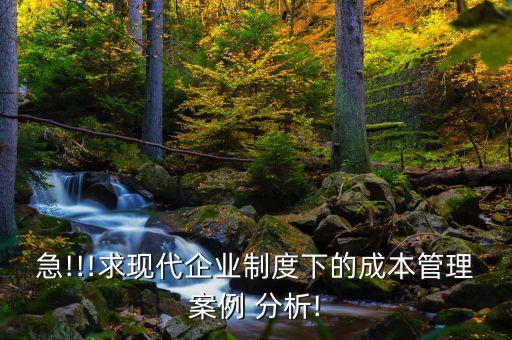 自動化公司分析報告,公司盈利能力分析報告