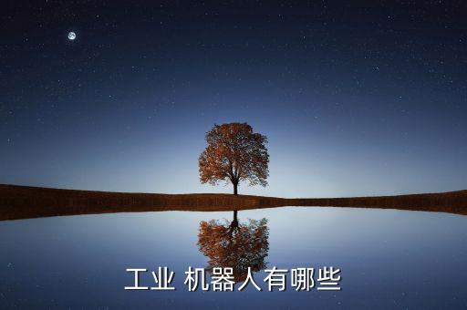 工業(yè) 機(jī)器人有哪些