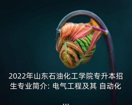 2022年山東石油化工學(xué)院專升本招生專業(yè)簡(jiǎn)介: 電氣工程及其 自動(dòng)化...