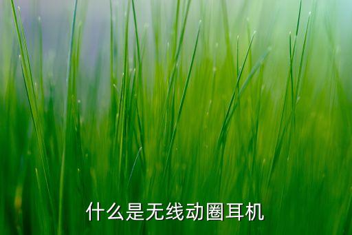 什么是無線動圈耳機
