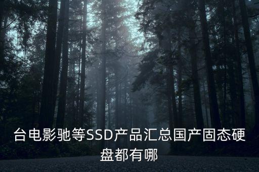 臺電影馳等SSD產(chǎn)品匯總國產(chǎn)固態(tài)硬盤都有哪