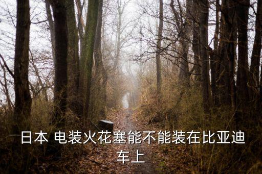  日本 電裝火花塞能不能裝在比亞迪車上