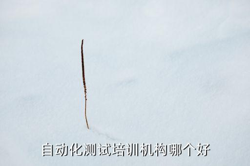 鄭州成開自動(dòng)化科技怎么樣,電氣自動(dòng)化技術(shù)專業(yè)怎么樣?