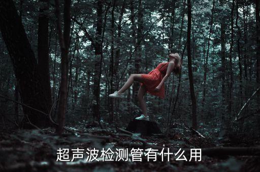檢測管，每米樁長需3根檢測管那么怎樣計(jì)算檢測管的工程量