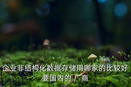 企業(yè)非結(jié)構(gòu)化數(shù)據(jù)存儲用哪家的比較好要國內(nèi)的 廠商