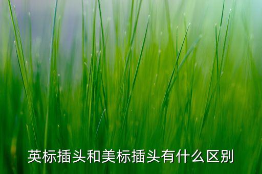 英標(biāo)插頭和美標(biāo)插頭有什么區(qū)別
