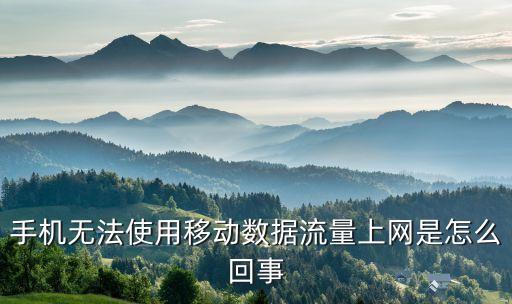 手機無法使用移動數(shù)據(jù)流量上網是怎么回事