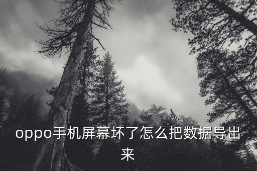 oppo手機(jī)屏幕壞了怎么把數(shù)據(jù)導(dǎo)出來