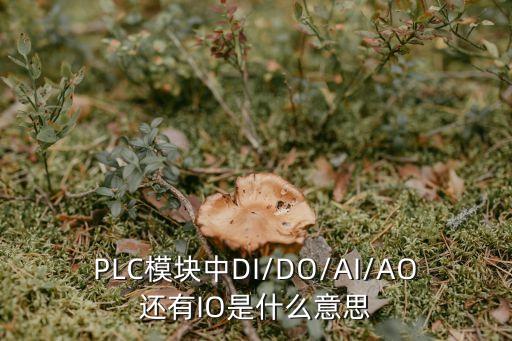 PLC模塊中DI/DO/AI/AO還有IO是什么意思