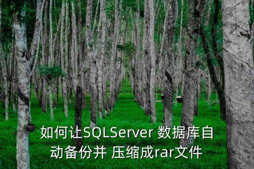 sql2008 數(shù)據(jù)庫壓縮,SQL2008數(shù)據(jù)庫壓縮