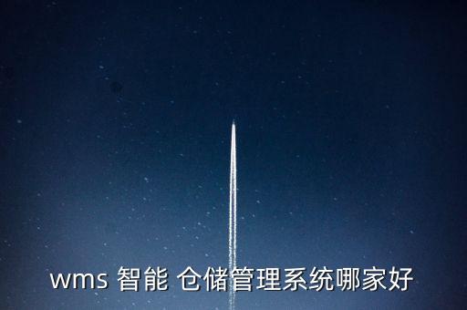 wms 智能 倉儲管理系統(tǒng)哪家好