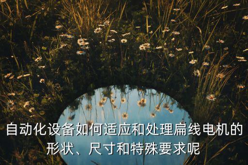 自動化設備如何適應和處理扁線電機的形狀、尺寸和特殊要求呢