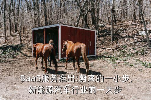 BaaS,如何理解baas和baas之間的區(qū)別?