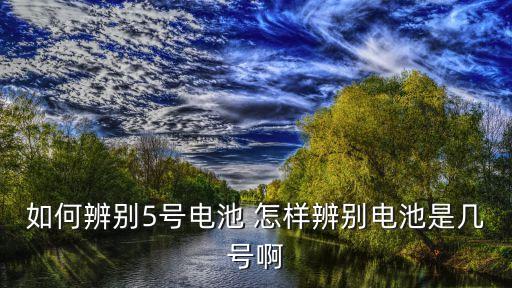 怎么看電池是幾號，如何辨別5號電池 怎樣辨別電池是幾號啊