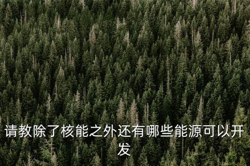 請(qǐng)教除了核能之外還有哪些能源可以開(kāi)發(fā)