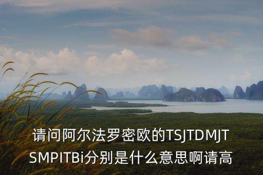 請問阿爾法羅密歐的TSJTDMJTSMPITBi分別是什么意思啊請高