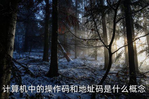 地址碼，計(jì)算機(jī)指令中的地址碼指什么