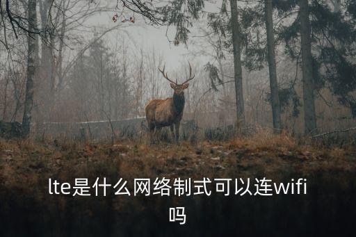 lte是什么網(wǎng)絡(luò)制式可以連wifi嗎