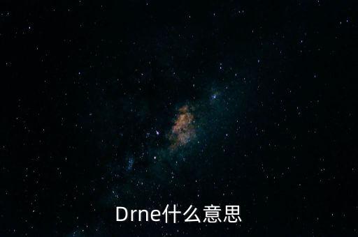 Drne什么意思